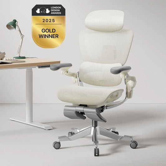 Hinomi H2 Pro Ergonomic Office Chair with Optional Leg Rest